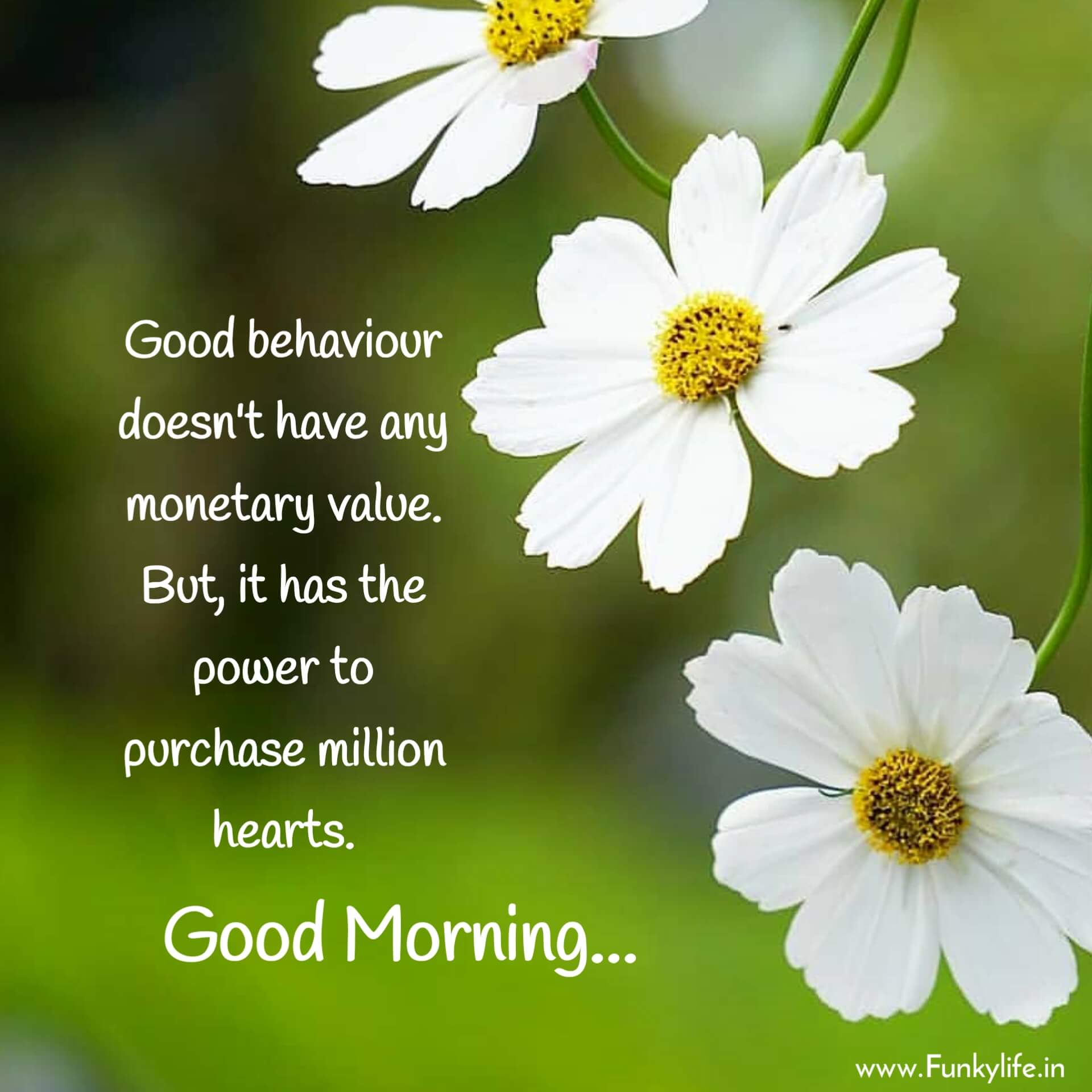 Good Morning Motivational Images For WhatsApp