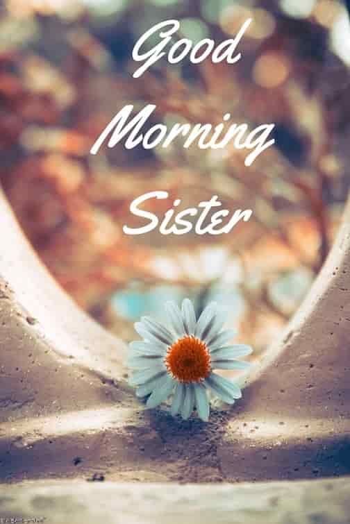 51+ Good Morning Sister Images, GM Didi Images For Sisters