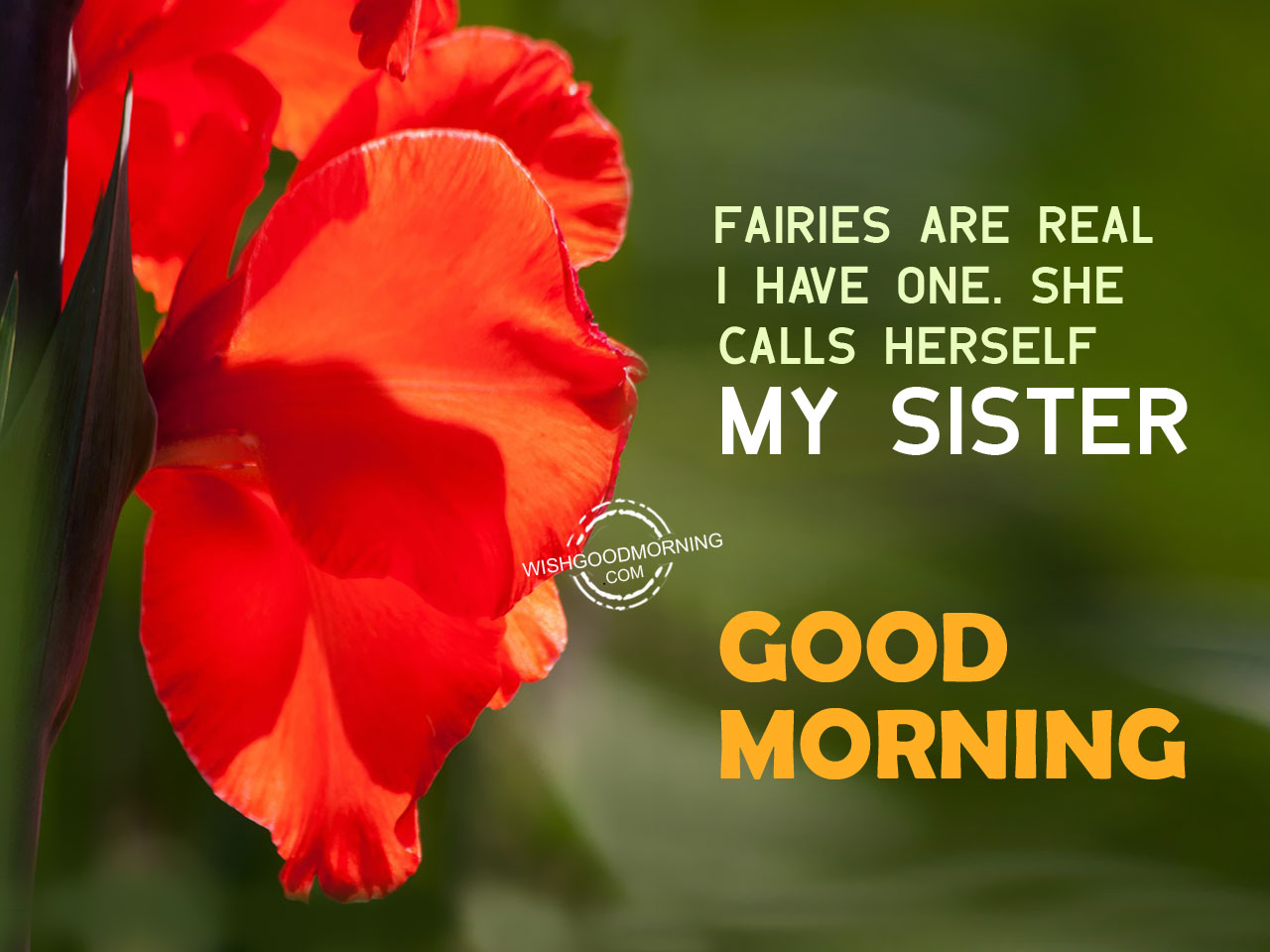 51+ Good Morning Sister Images, GM Didi Images For Sisters