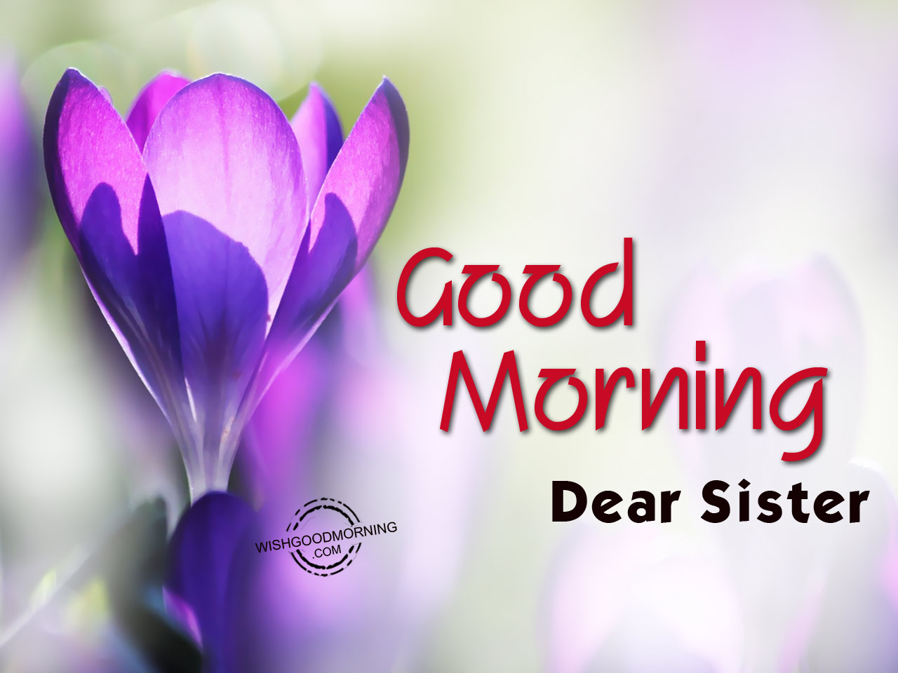 Beautiful Good Morning Sister Photos