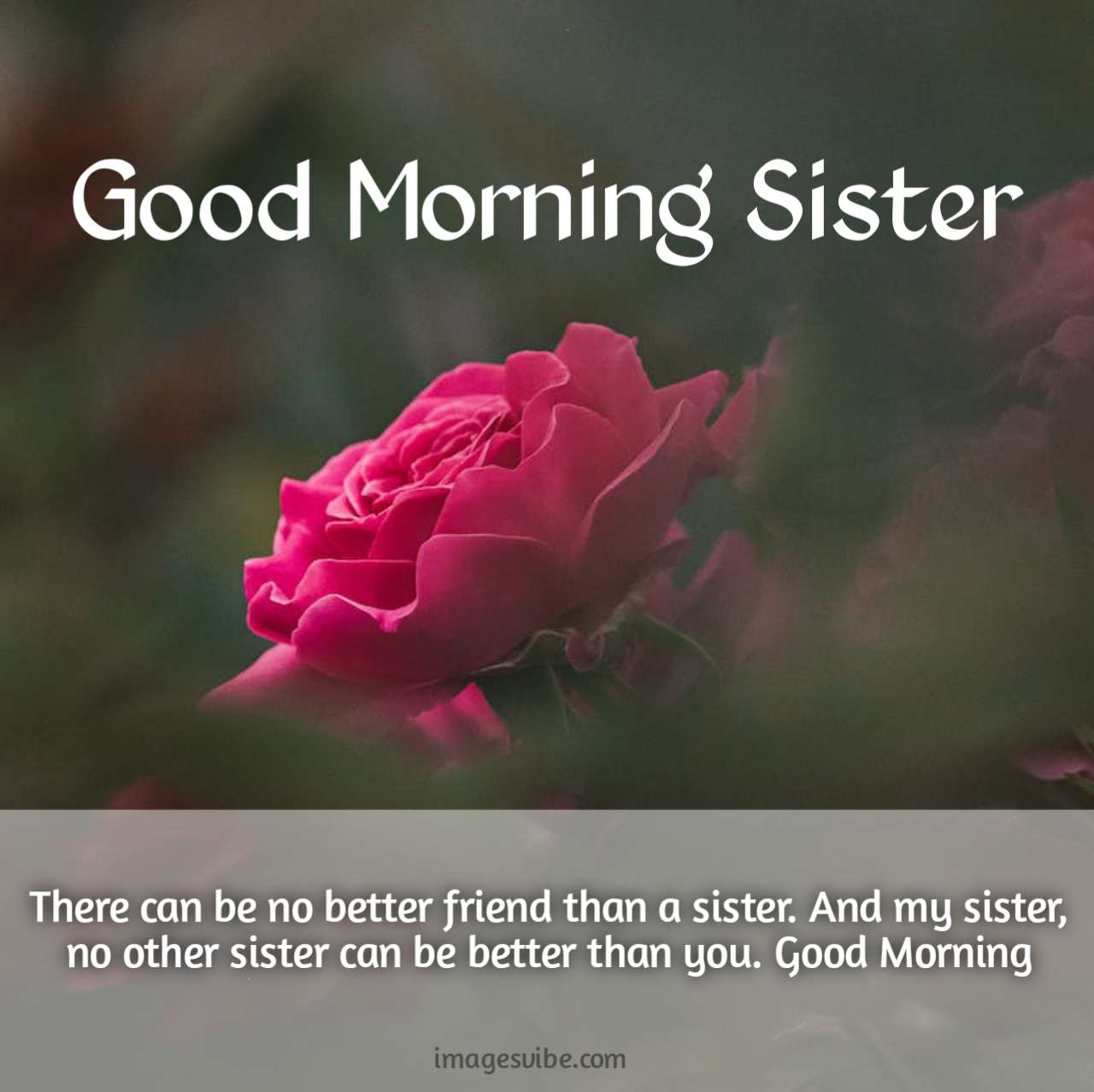 Good Morning Sister Images And Quotes