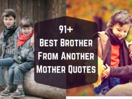 91+ Best Brother From Another Mother Quotes, Birthday Wishes