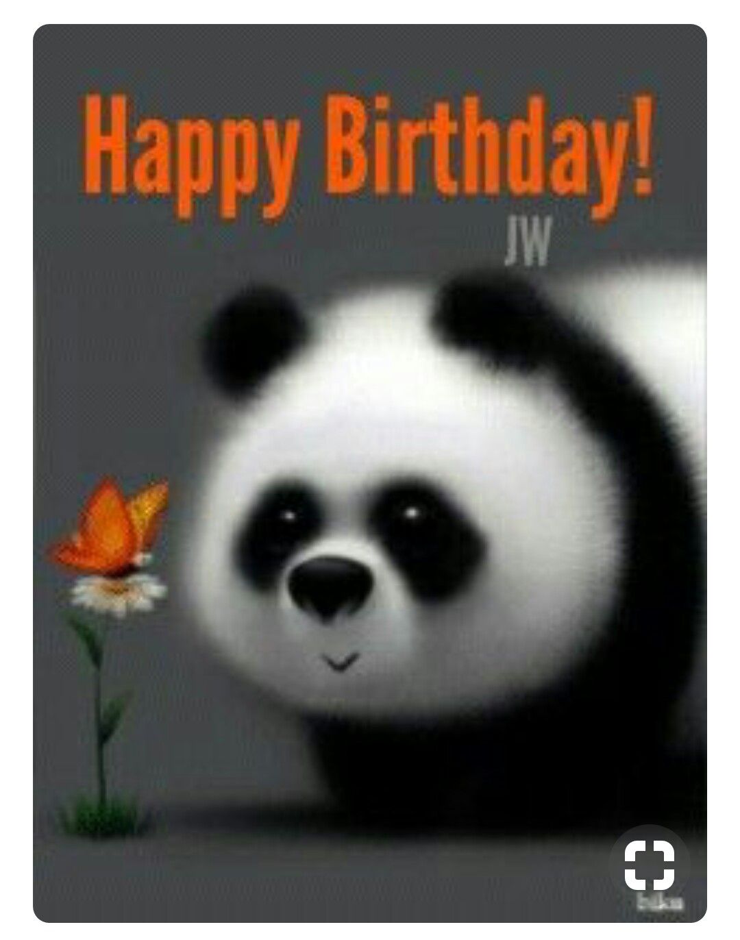 51+ Happy Birthday Panda Memes & Happy Birthday Panda Images
