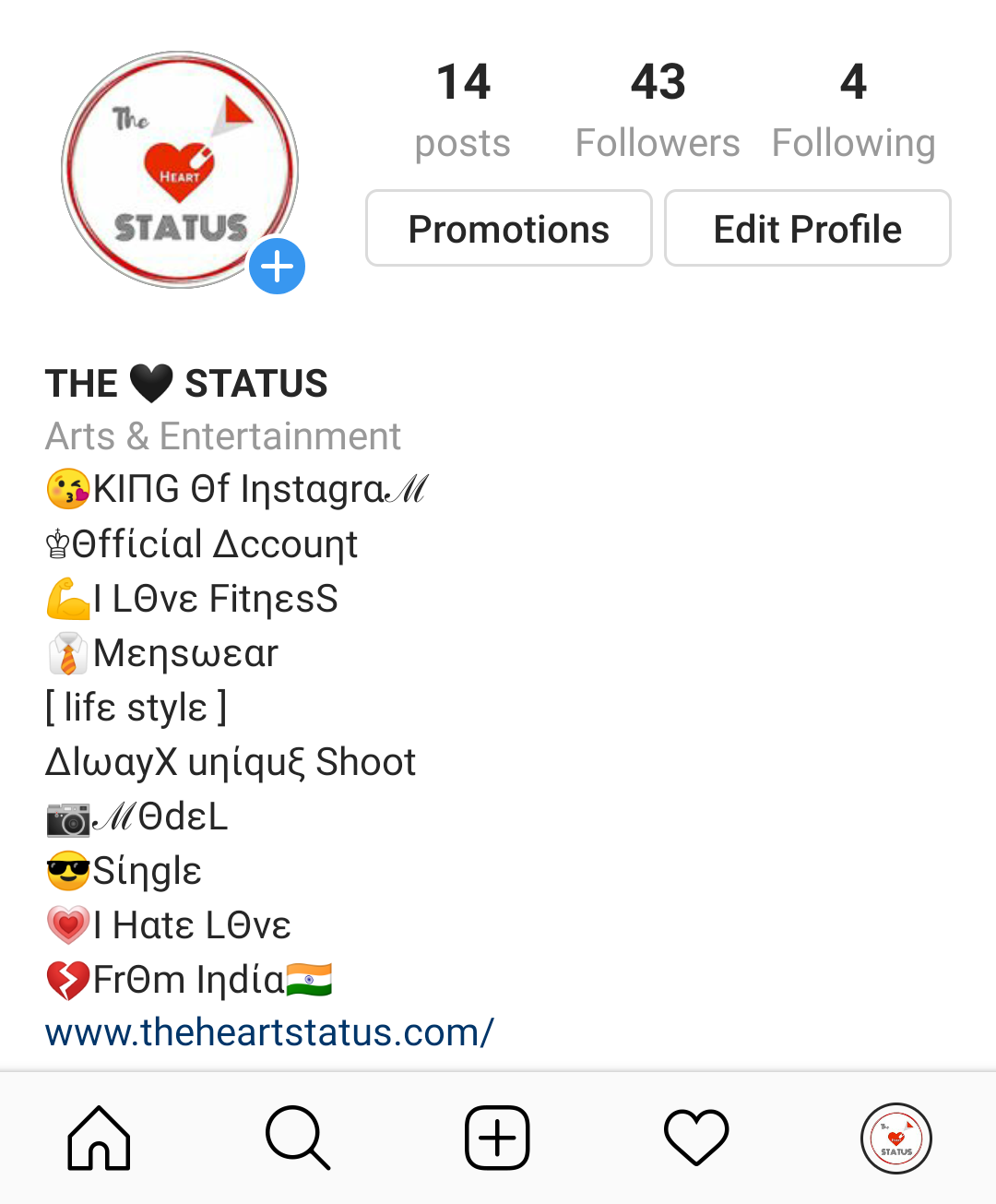 Creative Instagram Bio For Attitude