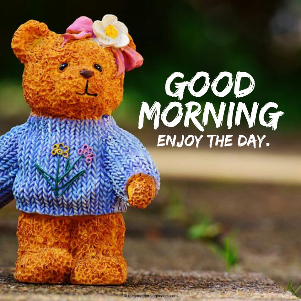 Good Morning Teddy Bear Images