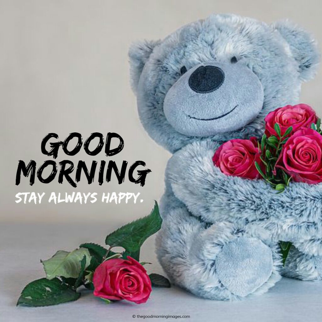 Teddy Bear Good Morning Photos