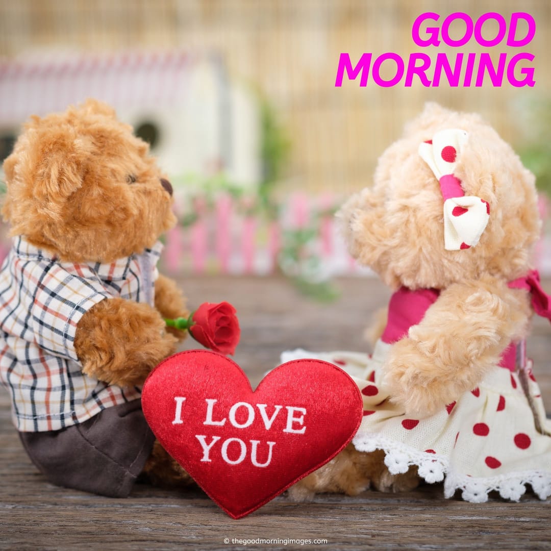 51+ Good Morning Teddy Bear Images, Teddy Bear Love Images