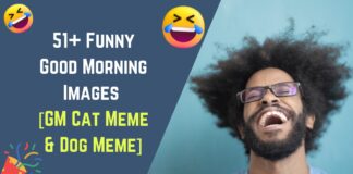 51+ Funny Good Morning Images [GM Cat Meme & Dog Meme]