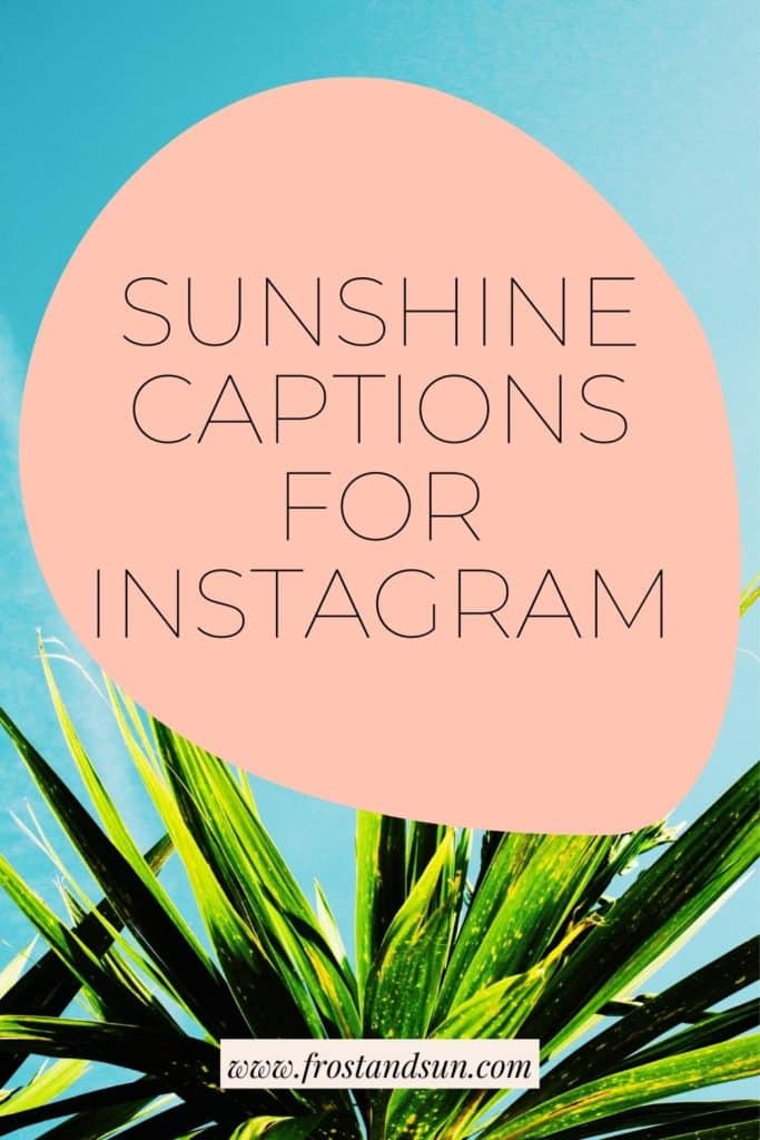 75+ Sun Captions For Instagram [Sunshine Captions About Sun]