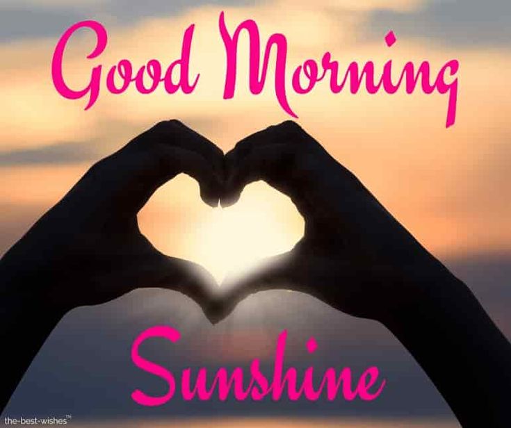 75+ Good Morning Sunshine Quotes, Short Sunrise Love Quotes