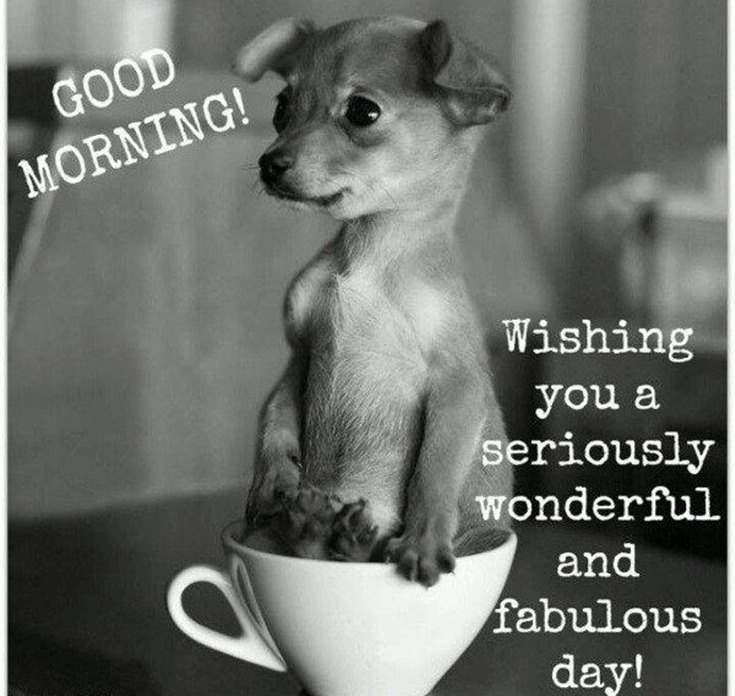 Funny Response To Good Morning Messages