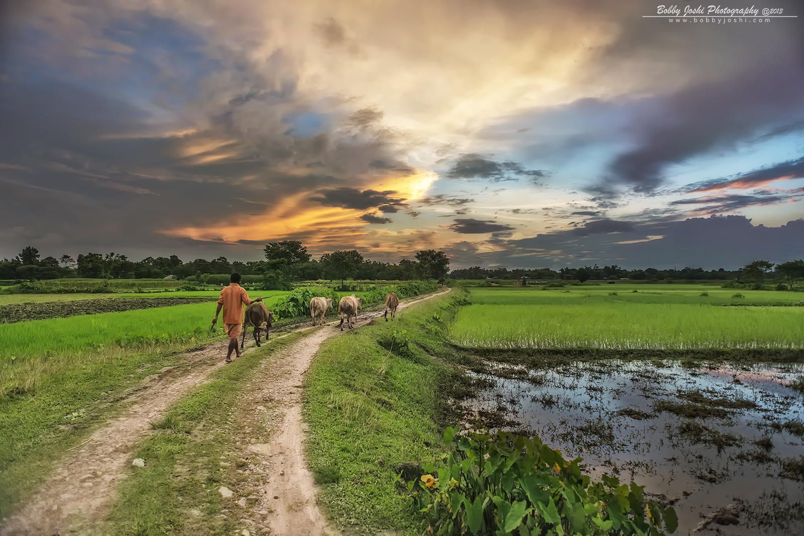 Indian Village Nature Images