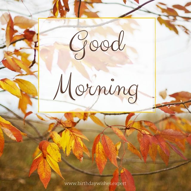 51+ Best Good Morning Fall Images And Quotes, Autumn Quotes