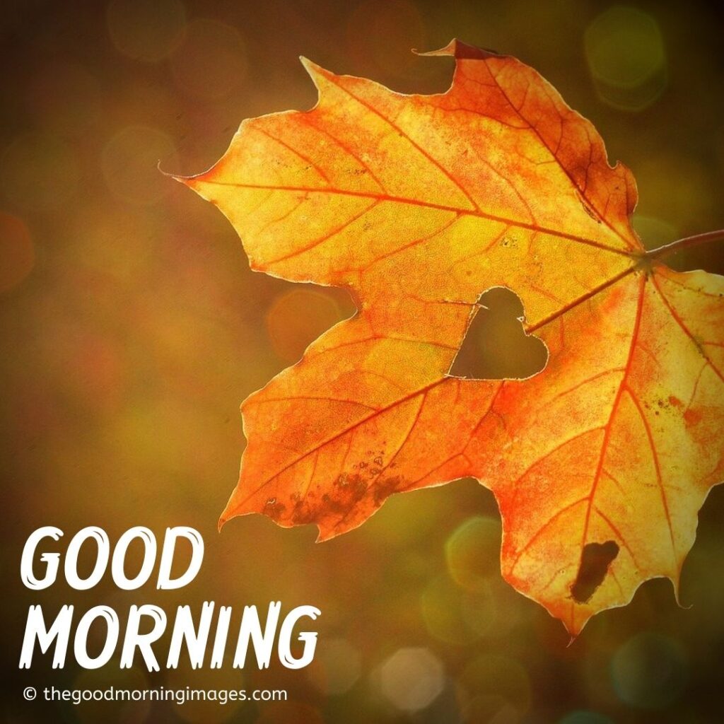 Good Morning Autumn Love Quotes