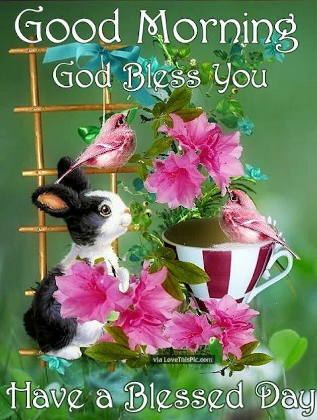 Good Morning God Bless Your Day Quotes