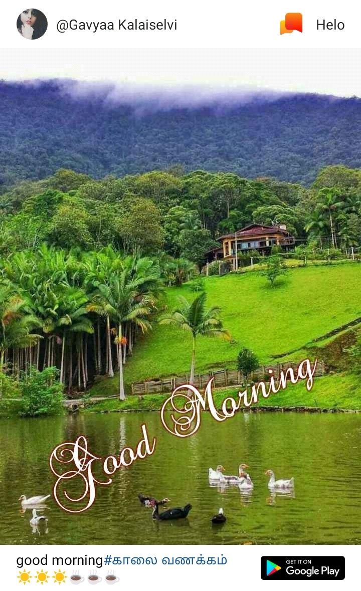 Good Morning Real Village Images