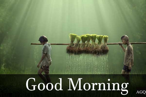 Good Morning Real Village Images