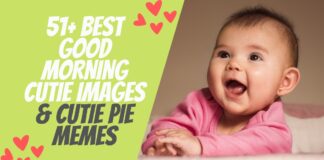 51+ Best Good Morning Cutie Images & Cutie Pie Memes