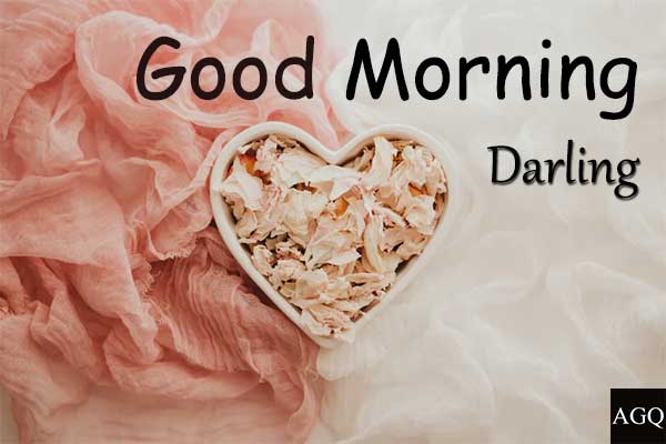 51+ Best Good Morning Darling Images, Morning Darling Quotes