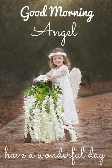 Good Morning Angel Images And Quotes
