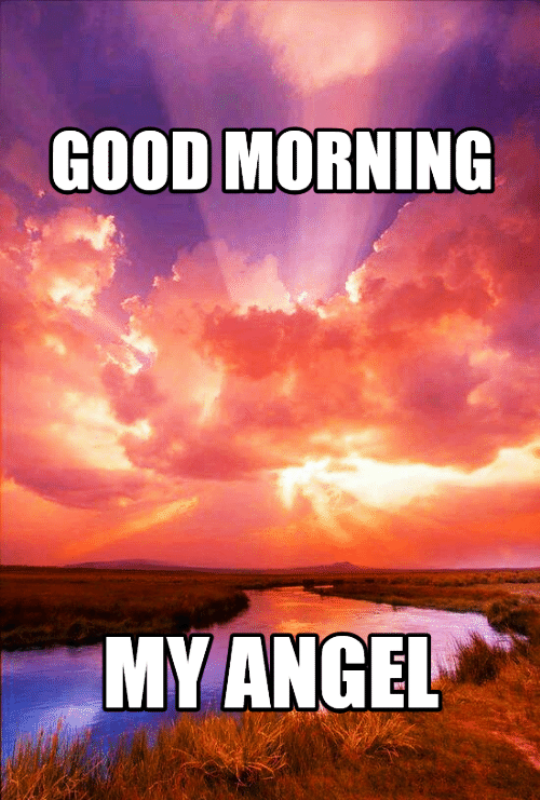 Good Morning Angel Images And Quotes