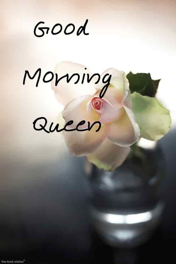 Good Morning Queen Quotes For Wife