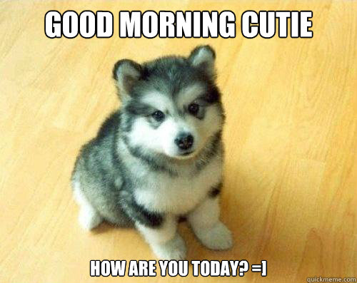 Funny Good Morning Cutie Meme