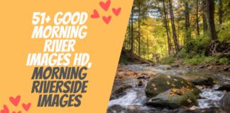 51+ Good Morning River Images HD, Morning Riverside Images