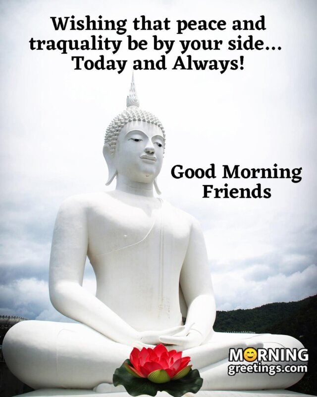 Good Morning Buddha Images