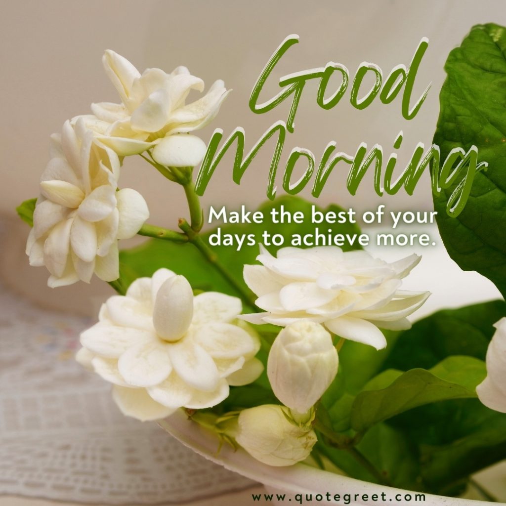 Good Morning Jasmine Flower Images