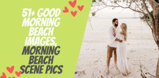 51+ Good Morning Beach Images, Morning Beach Scene Pics