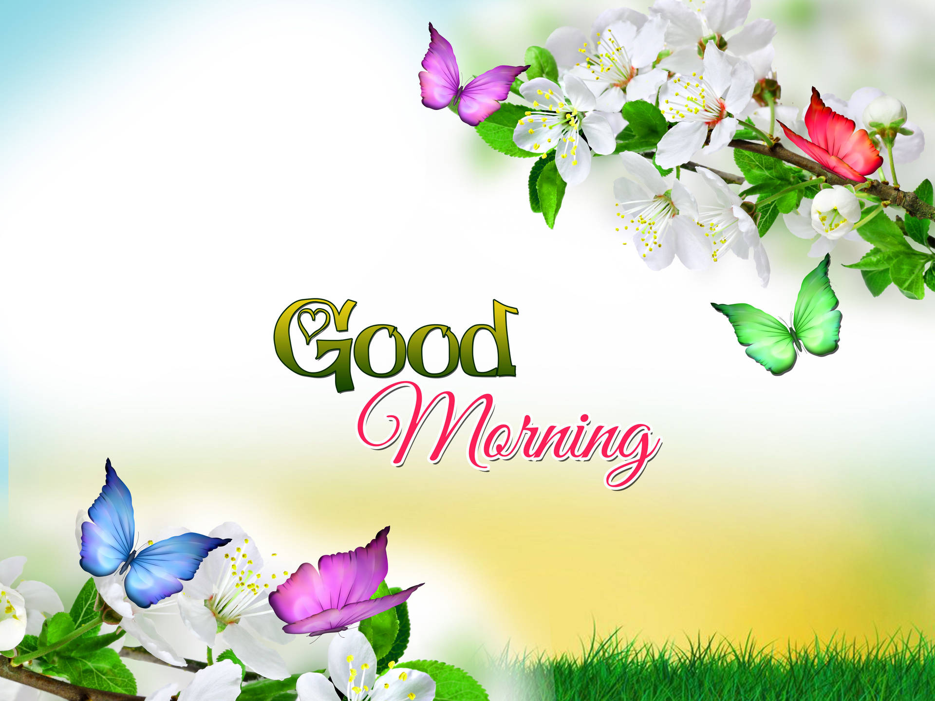 Good Morning Butterfly Wallpaper