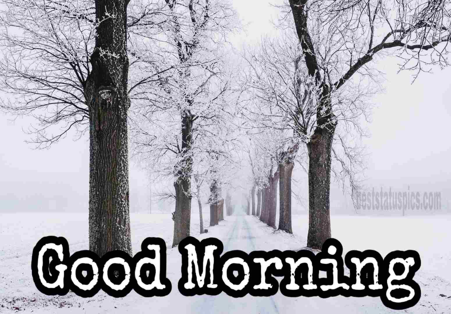 Good Morning Snow Mountain Images