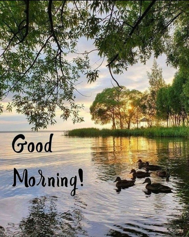 Good Morning River Images HD