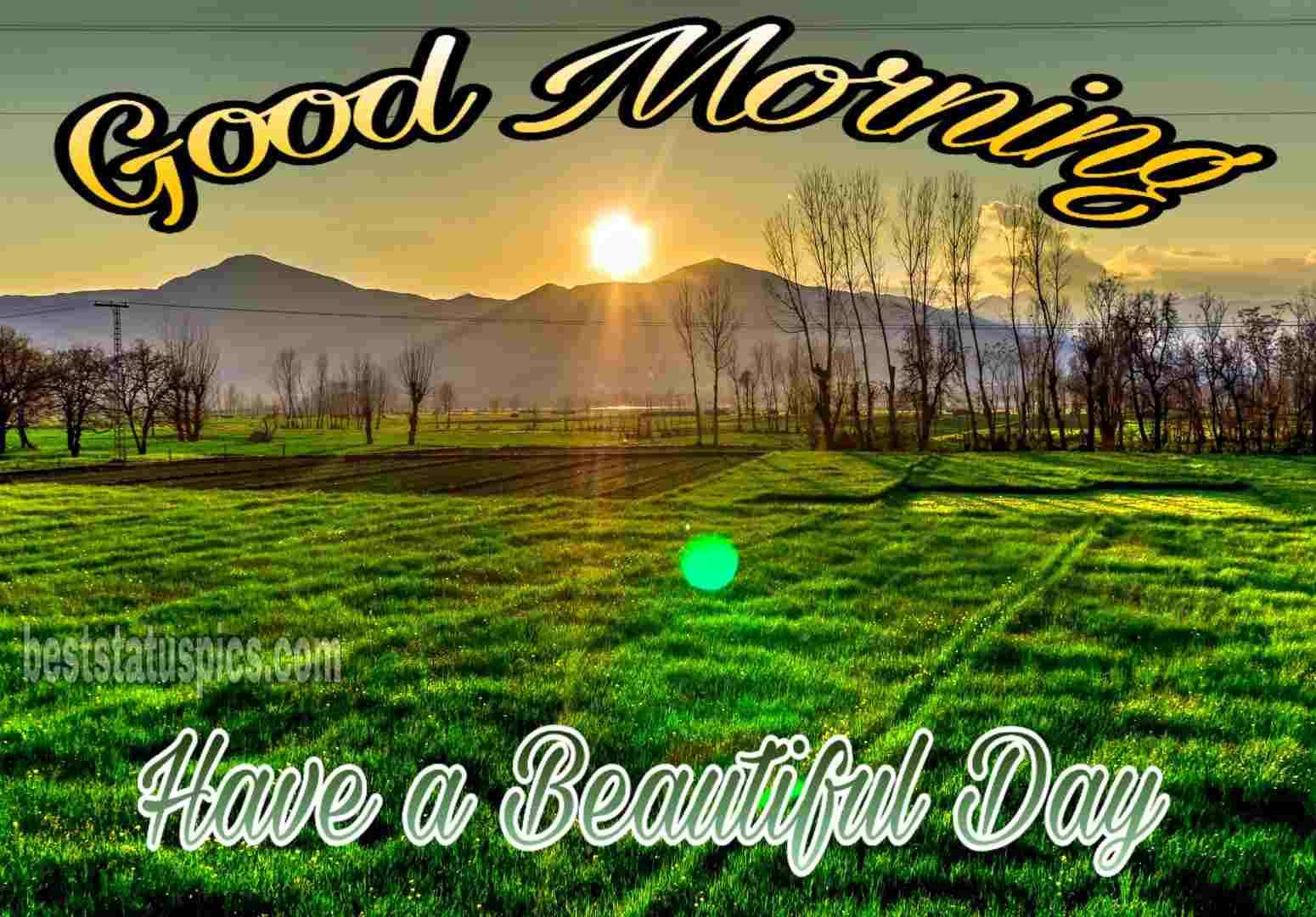 Good Morning Forest Pictures For WhatsApp