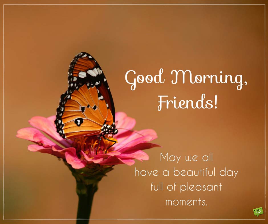 51+ Good Morning Butterfly Images, Butterfly Quotes & Wishes
