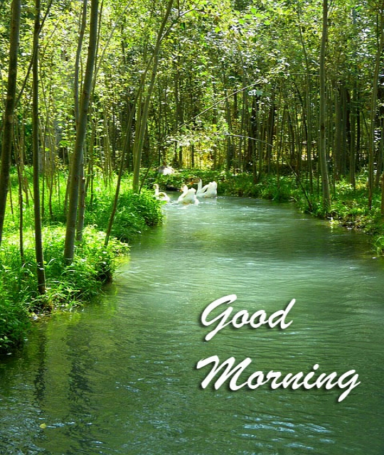 Good Morning River Images HD