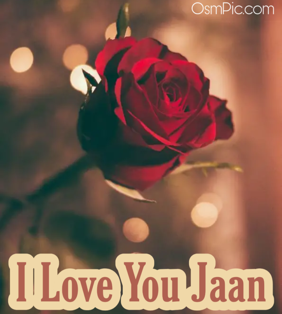 51+ Good Morning Janu Images HD, I Love You Jaan Photo