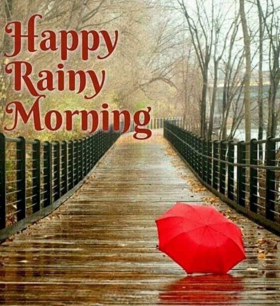 Good Morning Rainy Images And Quotes