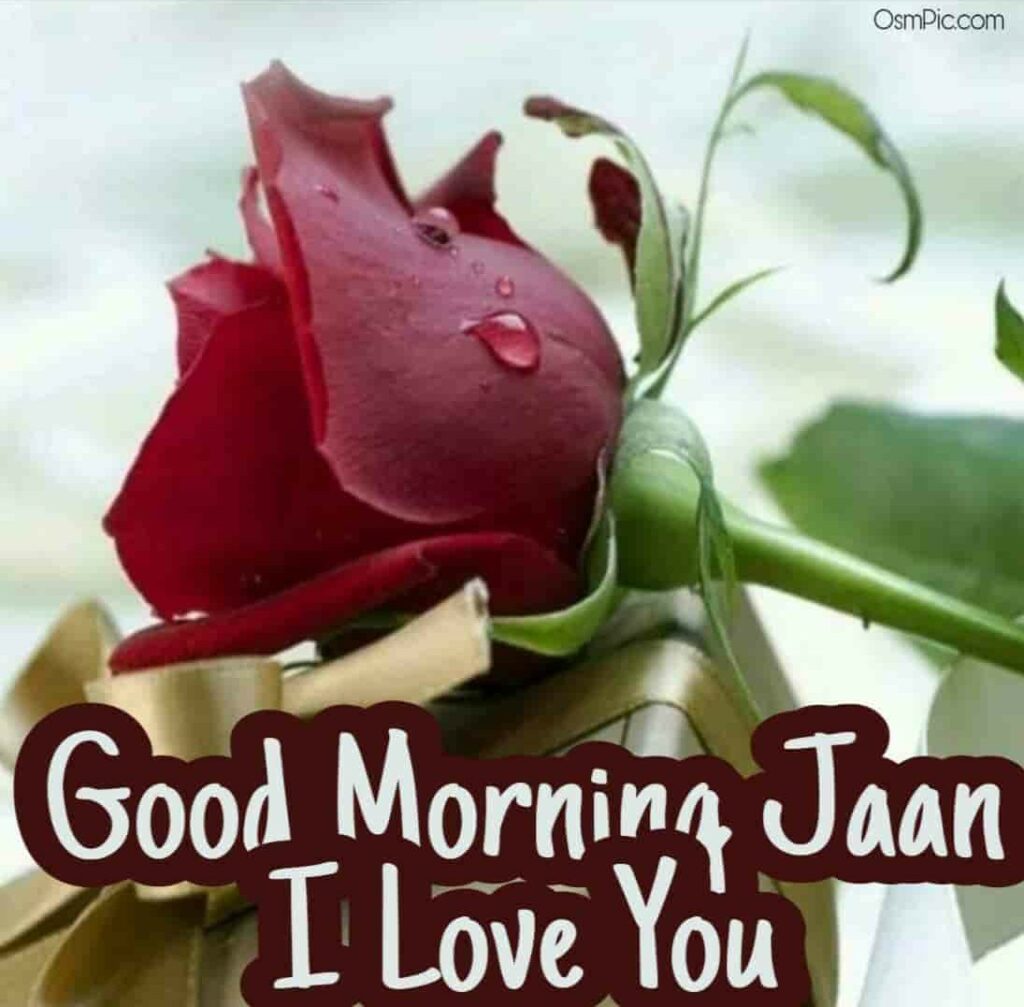 Good Morning Jaan I Love You Images