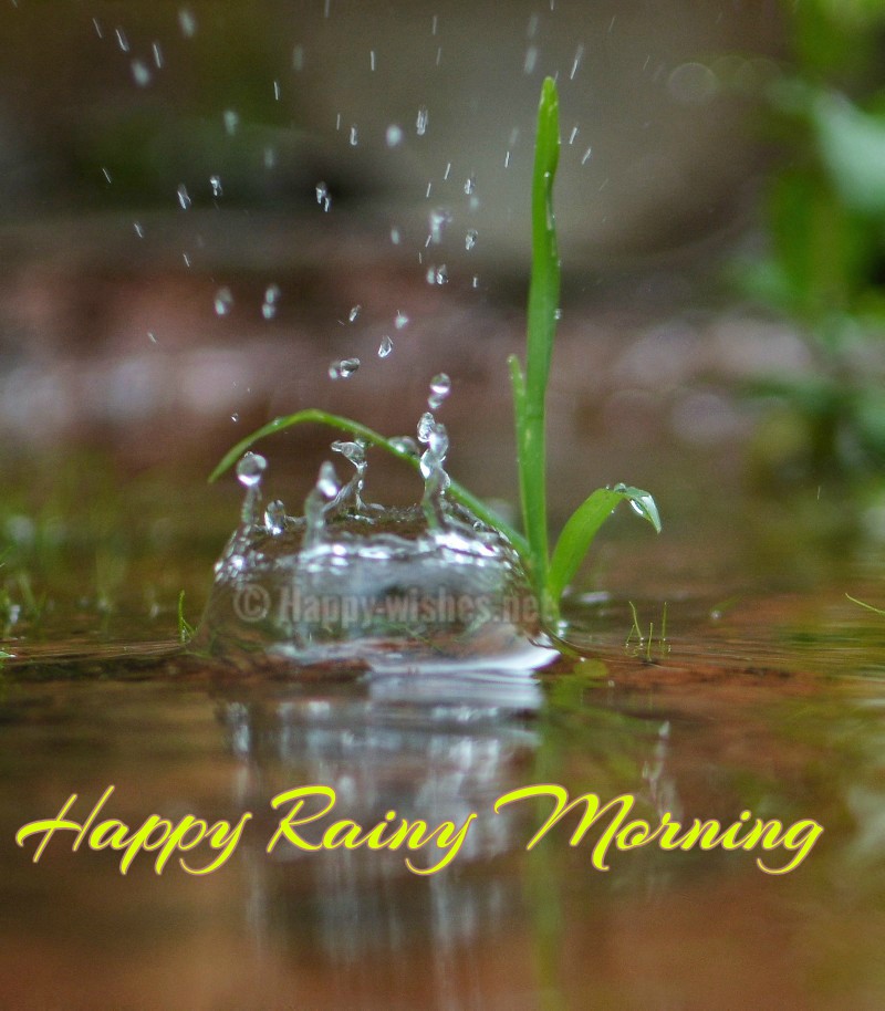 Rainy Good Morning Quotes Images