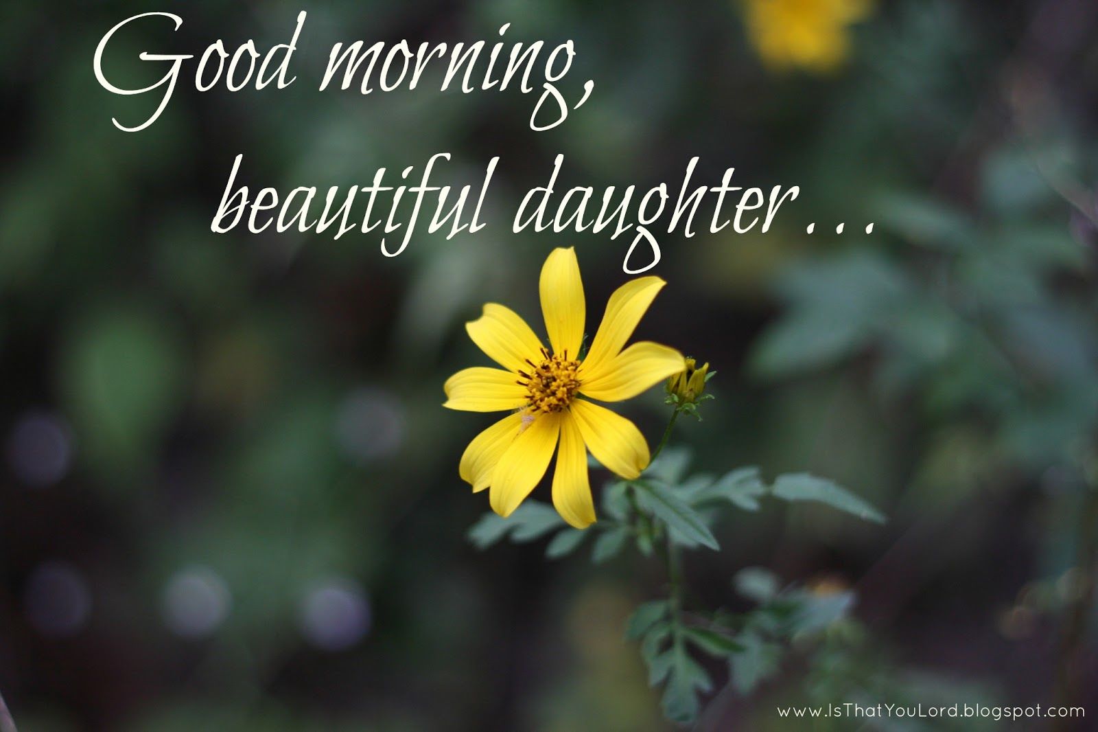 Good Morning Daughter Images And Quotes