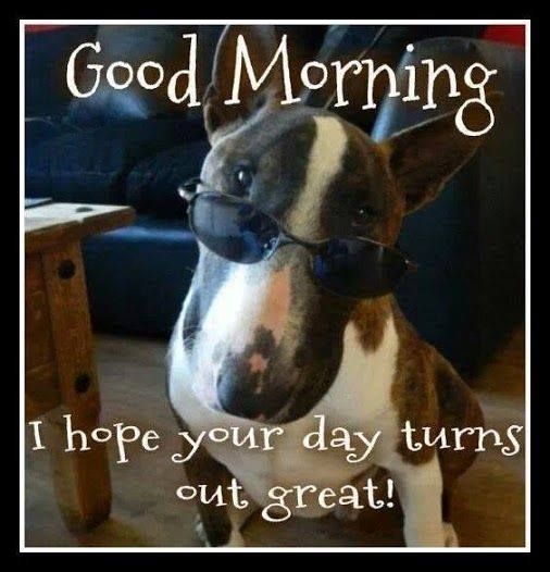 51+ Good Morning Dog Meme, Funny Good Morning Dog Image