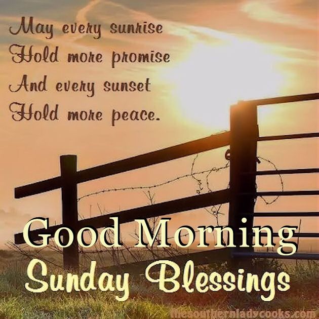 Good Morning Sunday Blessings Images And Quotes