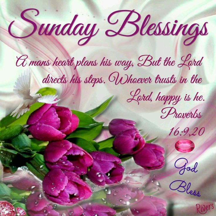 Sunday Morning Blessings Quotes