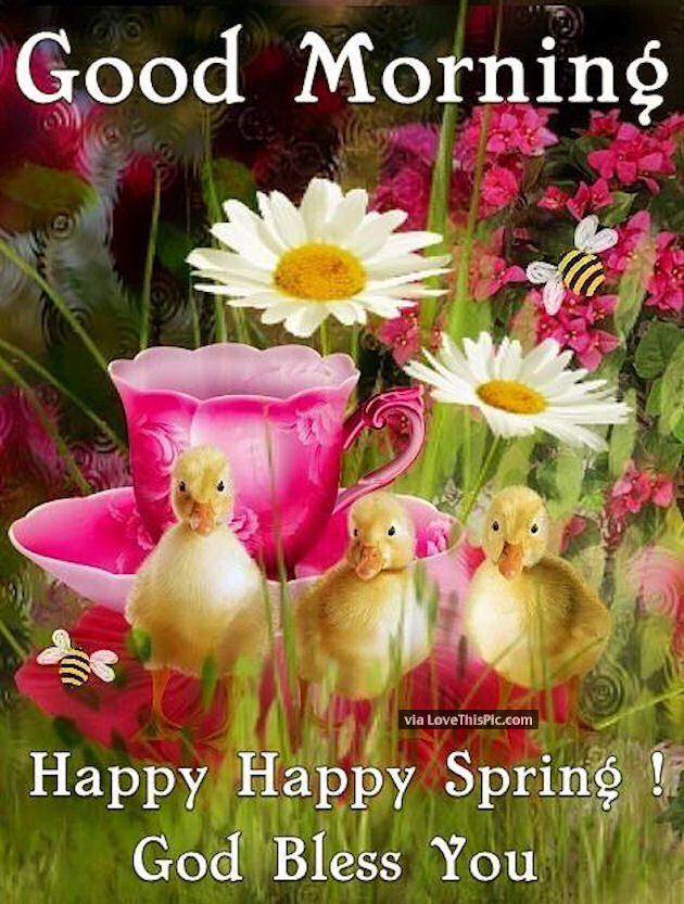 Good Morning Happy Spring Day Images