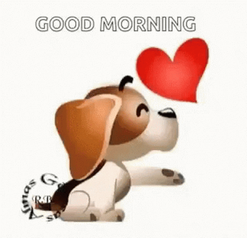 51+ Best Good Morning Love GIF Images, Kiss And Hug GIFs