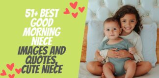 51+ Best Good Morning Niece Images And Quotes, Cute Niece