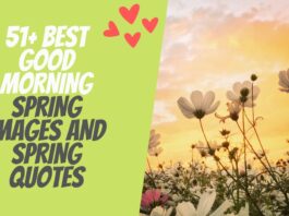 51+ Best Good Morning Spring Images And Spring Quotes