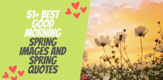 51+ Best Good Morning Spring Images And Spring Quotes